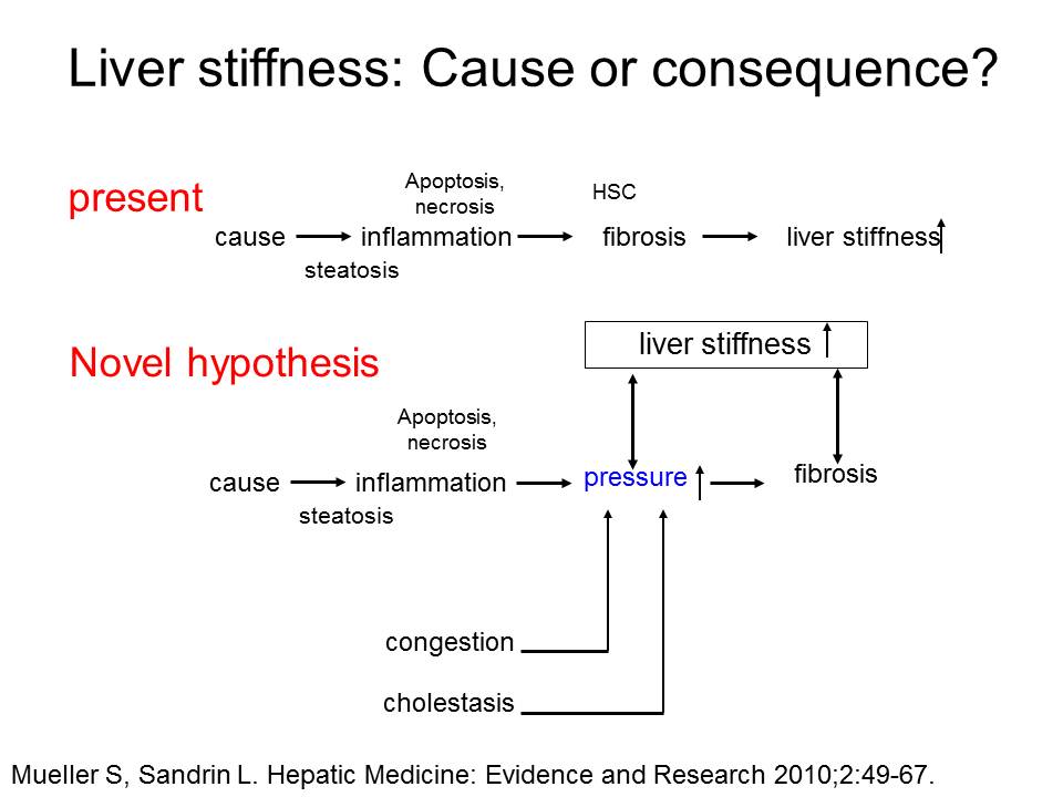 Pressure and matrix determinants of liver stiffness