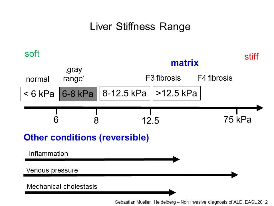 Liver stiffness range